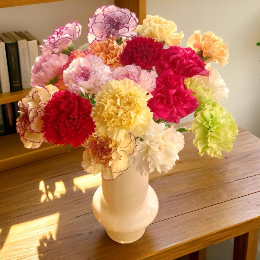 Premium Carnation Seeds